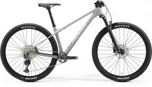 MERIDA BIG.NINE 3000 Cool Grey(Silver/Black) XXL