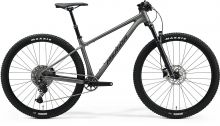 MERIDA BIG.NINE TR 600 Silk Gunmetal Grey(Black) XL