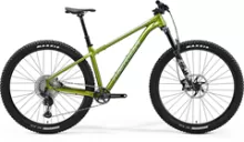 MERIDA BIG.TRAIL 700 Silk Fall Green(Silver-Green) M