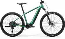 eBIG.NINE 400 Matt Evergreen(Green) XL MERIDA
