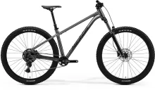 MERIDA BIG.TRAIL 300 Gunmetal Grey(Black) L