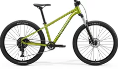 BIG.SEVEN 20 Fall Green(Silvergreen) XS MERIDA