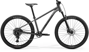 BIG.SEVEN 40 Silk Dark Teal(Purple) XS