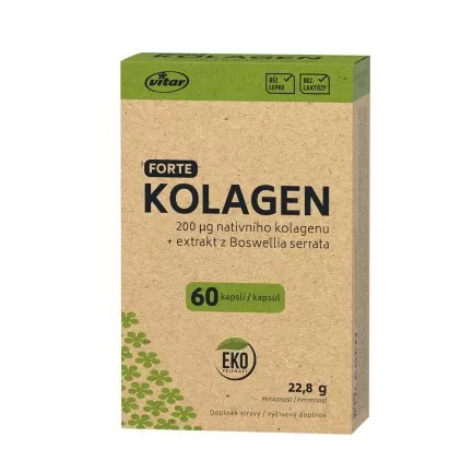 VITAR EKO Kolagen forte, 60 kapslí